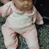 عروسک|اسباببازی بچه|بجنورد, |دیوار