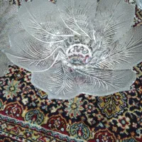 ظرف میوه خوری|ظروف سرو و پذیرایی|شیراز, شهرک گلها|دیوار