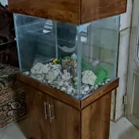 اکواریوم کمدار
