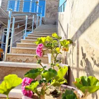 اجاره روزانه هفتگی سوییت آپارتمان فندقلو