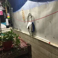 فروش آپارتمان ۹۳ متری ۲ خوابه طبقه ۴ در شکیبا|فروش آپارتمان|تهران, شکیبا|دیوار