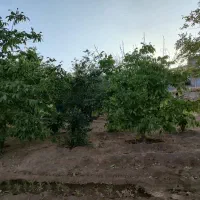 زمین مسکونی روبروی ترمینال سنندج مریوان