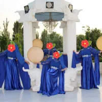 گروه دفنوازی و بال نورانی و باد بزن نورانی ستیا|خدمات پذیرایی، مراسم|شهریار, شهریار|دیوار