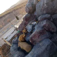 آب نما|سازهای بادی|پردیس, فاز ۲|دیوار