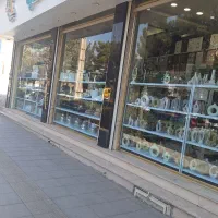 نیروی فروشنده خانم