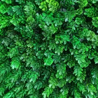 چمن مصنوعی و ترمووال و....|مصالح و تجهیزات ساختمان|یزد, |دیوار