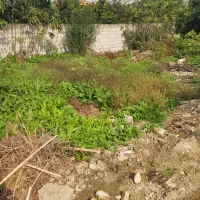 زمین ۱۶۰متری با سند مالکم