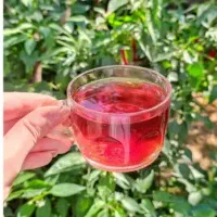 چای شمال کشور مستقیم بدون واسطه|خوردنی و آشامیدنی|اهواز, ۲۰۰۰واحدی|دیوار