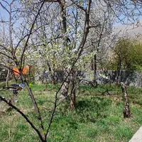 280 متر زمین مسکونی در کوه لوط منطقه بایجان|فروش زمین و ملک کلنگی|گزنک, |دیوار