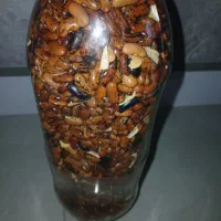 باقلا خشک شده برای کاشتن|خوردنی و آشامیدنی|رشت, فلسطین|دیوار