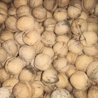 گردو|خوردنی و آشامیدنی|جوانرود, |دیوار