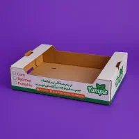 کارتن سازی - طراحی و تولید انواع کارتن و جعبه|عمده‌فروشی|مشهد, توس فردوسی|دیوار