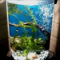 اکواریوم شیشه خم نیم دایره