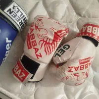 کیسه بوکس بادستکش
