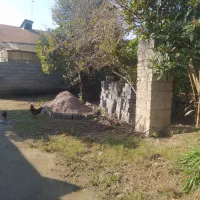 ۱۰۰ متر زمین مسکونی با بر عالی قیمت مناسب ۱۱۰۰|فروش زمین و ملک کلنگی|لنگرود, |دیوار