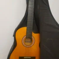 گیتار پیکاپ دار وی کات|گیتار، بیس، امپلیفایر|آستارا, |دیوار