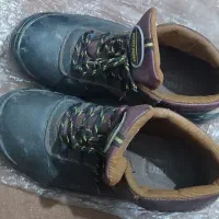 کفش ایمنی پااتن