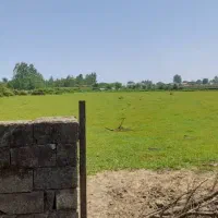 زمین به متراژ ۲۵۰۰ متر ساحلی جنگلی