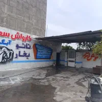 شاگرد کاربلد