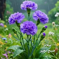 درخواست منشی