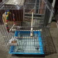 یک عدد قفس پرندگان بزرگ جسته