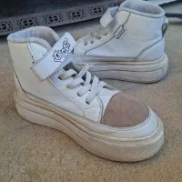 کفش نو|کیف، کفش، کمربند|ماکو, |دیوار