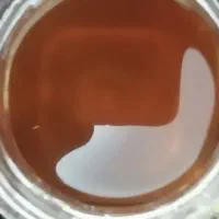 عسل|خوردنی و آشامیدنی|سبزوار, امیر کبیر|دیوار