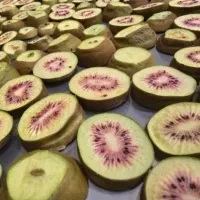 میوه خشک فریزدرایر