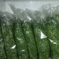 سبزی تازه ریز شده ...کشک وبلغورشیر گوسفندی .‌|خوردنی و آشامیدنی|تربت جام, شهرک آزادگان|دیوار