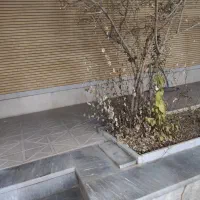 ۸۰مترمنزل ۱خوابه همکف شیک خیابان زرین کوب|اجارهٔ خانه و ویلا|اصفهان, گرکان|دیوار