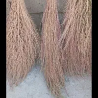 جارومحلی درفرهنگیان|لوازم نظافت|اسلامآباد غرب, |دیوار