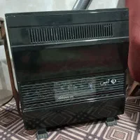 بخاری ادنیس