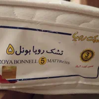 تشک نوجوان بونل ۵ رویا