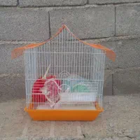 قفس گنجشک سالم در حد نو