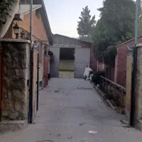 ۳۰۰ متر سوله سیاه سنگ (دهم) بعلاوه ۲۵۰ متر حیاط|اجارهٔ دفتر صنعتی، کشاورزی، تجاری|پردیس, شهرک صنعتی خرمدشت فاز ۷|دیوار