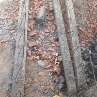 تیرچه|مصالح و تجهیزات ساختمان|فاضل آباد, |دیوار