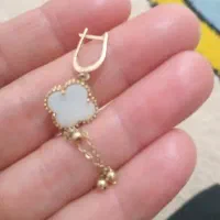 لنگه گوشواره گم شده