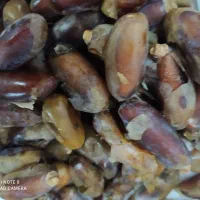 خرما شاهانی