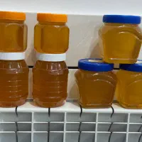 فروش عمده عسل چهل گیاه (معجزه ی طبیعت)