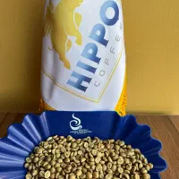 قهوه روبوستا چری دان سبز