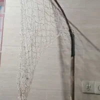 توردستی کفتر