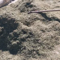 یونجه|لوازم جانبی حیوانات|خاوه, |دیوار