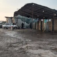 شراکت در کارواش