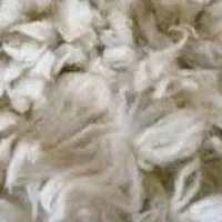 پشم گوسفند