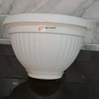 گلدان|گل و گیاه طبیعی|قم, هفت تیر|دیوار