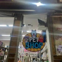 ادمین سایت و تولید محتوا