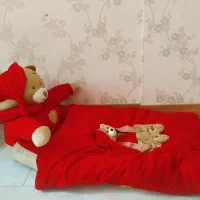 تشک خرسی نونو|تشک تختخواب|صفادشت, |دیوار