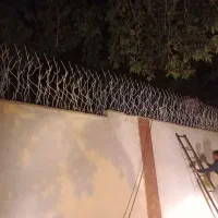 حفاظ شاخ گوزنی اکرمی|خدمات پیشه و مهارت|احمدآبادمستوفی, |دیوار