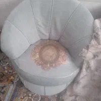 فرش نو دو روز بیشتر پهن نشده|فرش|تربتحیدریه, پائین ولایت|دیوار