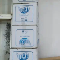 پلاستیک فریزر 200 عددی|ظروف نگهدارنده، پلاستیکی، یک‌بارمصرف|نیشابور, فردوس شمالی|دیوار